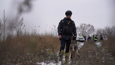 "20 км прикордоння лишається нашою болючою зоною" – як на Сумщині проводять мінно-пошукові роботи "20 км прикордоння лишається нашою болючою зоною" – як на Сумщині проводять мінно-пошукові роботи
