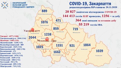 Понад 11 тисяч закарпатців подолали COVID-19 Понад 11 тисяч закарпатців подолали COVID-19