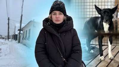 У Житомирі жінку покусали три безпритульні собаки