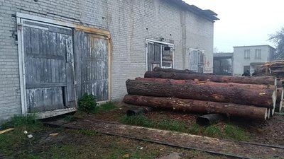 Ще одну кримінальну справу через незаконну рубку дерев відкрили на Львівщині