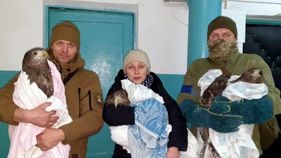 У Миколаєві врятували "червонокнижних" птахів У Миколаєві врятували "червонокнижних" птахів