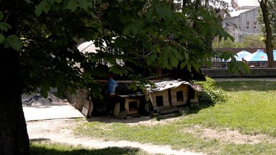 Постить фото й відео у соцмережі: вінничанка шукає господарів для безпритульних собак Постить фото й відео у соцмережі: вінничанка шукає господарів для безпритульних собак