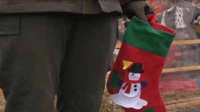 Акцію "Новорічні побажання" організували нацгвардійці в Ужгороді Акцію "Новорічні побажання" організували нацгвардійці в Ужгороді