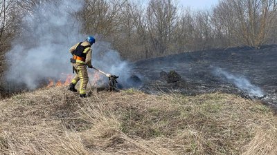 На Сумщині через загоряння сухої рослинності постраждала жінка — ДСНС