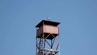 Волинські ліси під відеонаглядом Волинські ліси під відеонаглядом