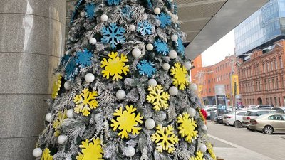 Без головної ялинки. Як виглядають новорічні дерева у районах Дніпра та області Без головної ялинки. Як виглядають новорічні дерева у районах Дніпра та області