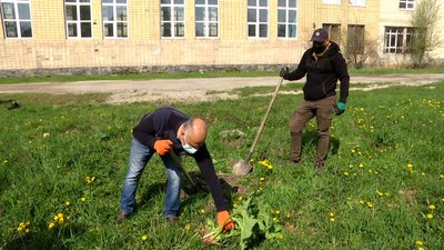 У Житомирі жителі Корбутівки викопали 50 кущів борщівника в місцях відпочинку У Житомирі жителі Корбутівки викопали 50 кущів борщівника в місцях відпочинку