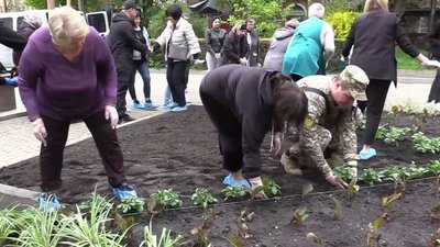 У Тернополі на центральній алеї висадили квіти У Тернополі на центральній алеї висадили квіти