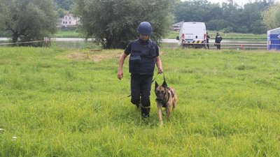 Рятувальники розмінували територію села Бездрик на Сумщині Рятувальники розмінували територію села Бездрик на Сумщині