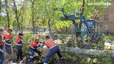 Понад 130 дерев та 400 кущів висадили у Полтаві Понад 130 дерев та 400 кущів висадили у Полтаві