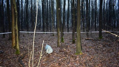 Уламки російської крилатої ракети Х-101 знайшли на Вінниччині