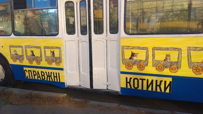 Котики, червоний хідник і шампанське: черкаський осередок Нацкорпусу представив кандидата в мери Котики, червоний хідник і шампанське: черкаський осередок Нацкорпусу представив кандидата в мери