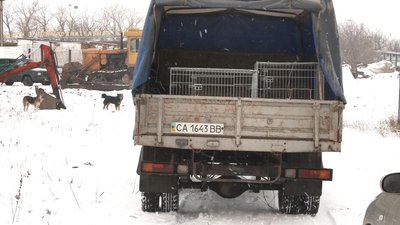 "Одна собака може привести десять цуценят": у місті на Черкащині стерилізують тварин "Одна собака може привести десять цуценят": у місті на Черкащині стерилізують тварин