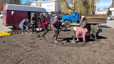 На луцьких клумбах уже висадили півтори тисячі квітів На луцьких клумбах уже висадили півтори тисячі квітів