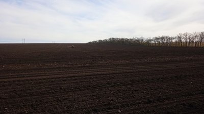 Посівні площі на Сумщині зменшаться на 1,7 тисячі гектарів