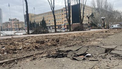 Вирубка ялин біля будівлі Миколаївської міської ради. Що відомо Вирубка ялин біля будівлі Миколаївської міської ради. Що відомо