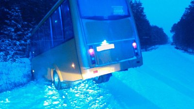 Рута в кюветі Рута в кюветі