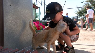 Патронатна родина із Дубіївки виховує дітей, позбавлених батьківського піклування Патронатна родина із Дубіївки виховує дітей, позбавлених батьківського піклування