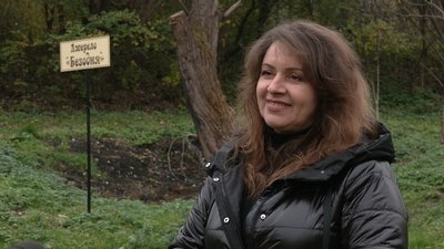 Дерманські вказівники Дерманські вказівники