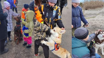 На Дніпропетровщині для переселенців провели зустрічі з собаками пошуково-рятувального загону На Дніпропетровщині для переселенців провели зустрічі з собаками пошуково-рятувального загону