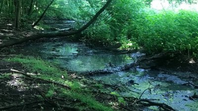 На Вінниччині екологи виявили факт забруднення землі
