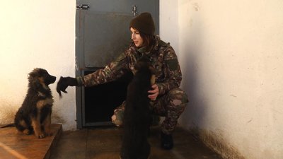 Кінолог Хмельницький, собака Хмельницький Кінолог Хмельницький, собака Хмельницький