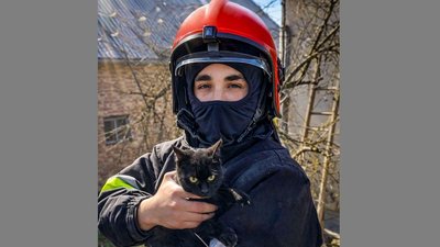 На Тернопільщині врятували кота, врятували кота у Копичинцях, порятунок тварин