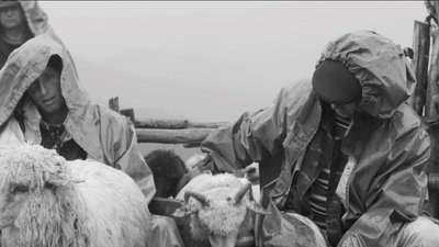 Відбулася презентація українського павільйону 59-го Венеціанської бієнале Відбулася презентація українського павільйону 59-го Венеціанської бієнале