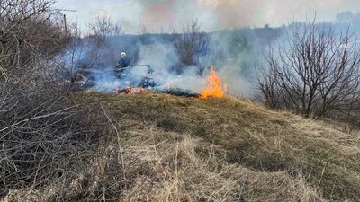 На Черкащині за добу тричі ліквідували пожежі сухої рослинності На Черкащині за добу тричі ліквідували пожежі сухої рослинності
