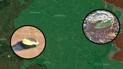 міни, шевченківська громада