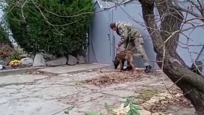 Розбійний напад на літню жінку на Херсонщині. Підозрюваних затримали
