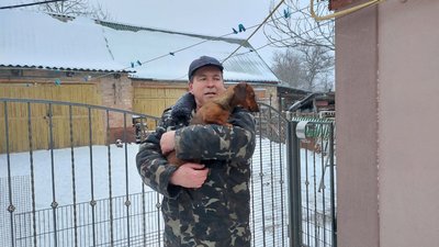 собакен собакен