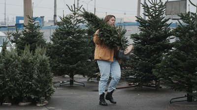 З 1 грудня у Харкові почали офіційний продаж ялинок до зимових свя