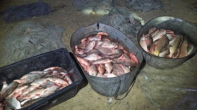 На Херсонщині поліцейські затримали браконьєрів, які нанесли збитків на 22 тисячі гривень На Херсонщині поліцейські затримали браконьєрів, які нанесли збитків на 22 тисячі гривень