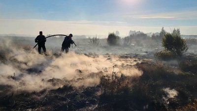 Рятувальники гасять торфовище поблизу села Судче Любешівської громади