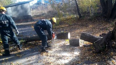 Вітер і дощ у столиці призвели до підтоплення і падіння дерев