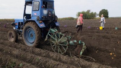 На саморобному тракторі чоловік виконує всі польові роботи На саморобному тракторі чоловік виконує всі польові роботи