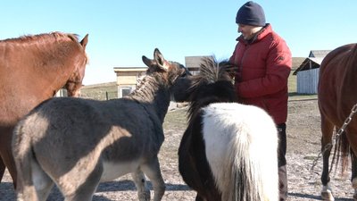 Щоб відродити людне раніше село: на Черкащині пропонують безоплатне житло для переселенців Щоб відродити людне раніше село: на Черкащині пропонують безоплатне житло для переселенців