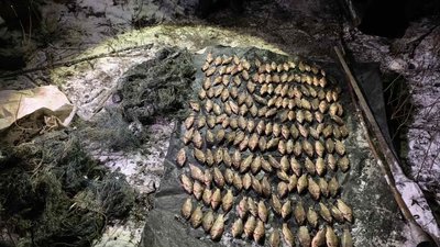 На Вінниччині браконьєр наловив риби на понад 300 тисяч гривень