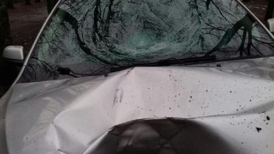Збив пішохода та ховався у дворах: у Харкові поліція затримала нетверезого водія Збив пішохода та ховався у дворах: у Харкові поліція затримала нетверезого водія