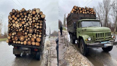 дерева патруль черкаси