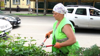 На вулицях та у скверах Житомира розпочали літню обрізку декоративних дерев та кущів На вулицях та у скверах Житомира розпочали літню обрізку декоративних дерев та кущів