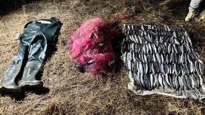 Незаконно виловлені кефалі-сингілі на озері Бурнас у нацпарку «Тузлівські лимани»