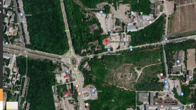 В Запоріжжі зрубати дерево дешевше ніж купити В Запоріжжі зрубати дерево дешевше ніж купити