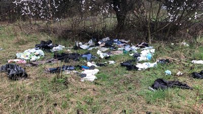 Засмічена територія колишніх артскладів у Полтаві: коли її збирають прибрати Засмічена територія колишніх артскладів у Полтаві: коли її збирають прибрати