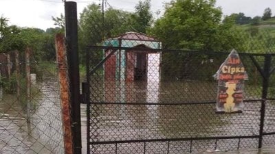На Прикарпатті підтопило притулок для тварин. Цуциків просять взяти на перетримку На Прикарпатті підтопило притулок для тварин. Цуциків просять взяти на перетримку