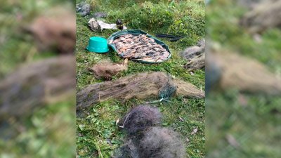 Риба та сітки вилучені рибоохоронним патрулем на Чернігівщині Риба та сітки вилучені рибоохоронним патрулем на Чернігівщині