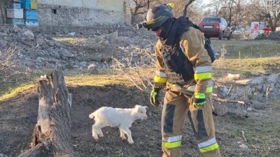 Козеня Краматорськ