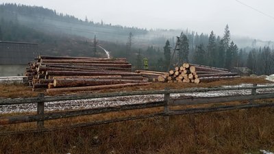 Вивозять ліс: у горах на Львівщині селяни виступили проти вирубки дерев Вивозять ліс: у горах на Львівщині селяни виступили проти вирубки дерев