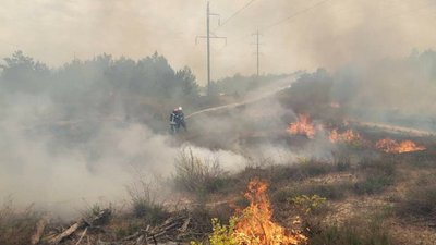 В Запорізькій області пожежа на відкритій території